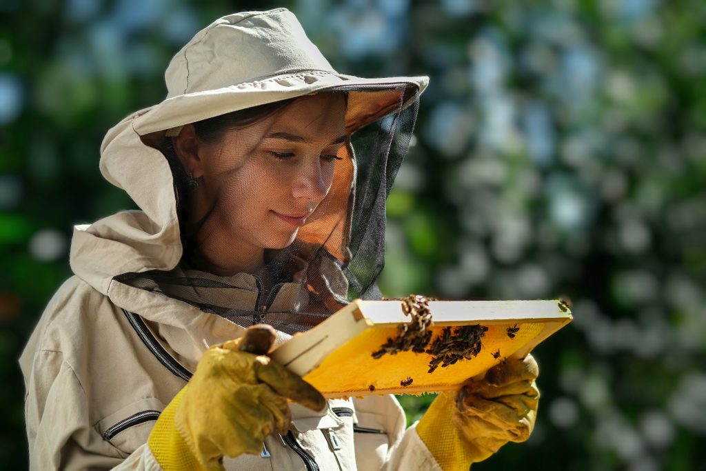 ProVap 220 Oxalsäureverdampfer mit Kabel - Bienen-Papa Imkereibedarf Imkerin